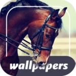 Logo of Horse wallpapers android Application 