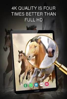 Horse wallpapers android App screenshot 0