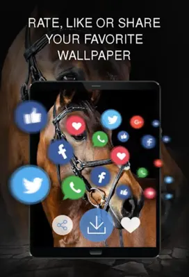 Horse wallpapers android App screenshot 1