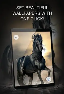 Horse wallpapers android App screenshot 2