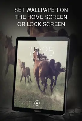 Horse wallpapers android App screenshot 3