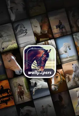 Horse wallpapers android App screenshot 4