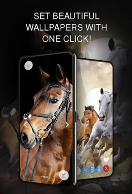 Horse wallpapers android App screenshot 7