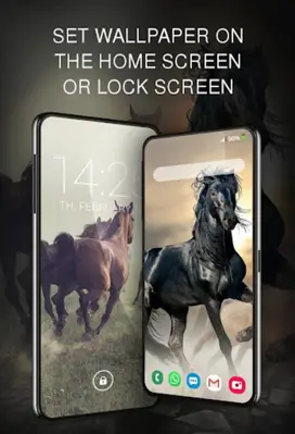 Horse wallpapers android App screenshot 8